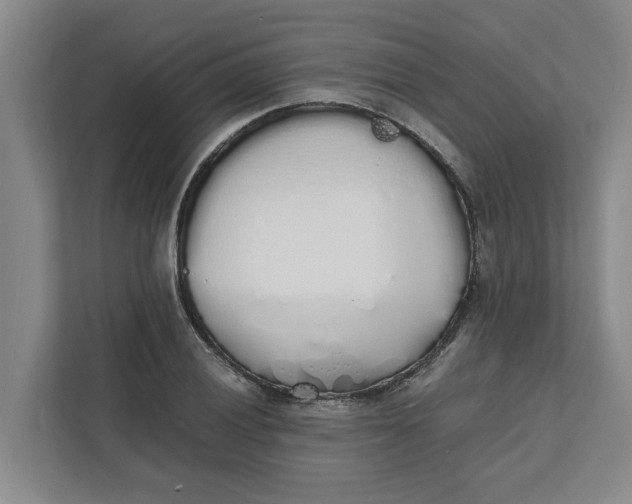 X0000111881028200908061310