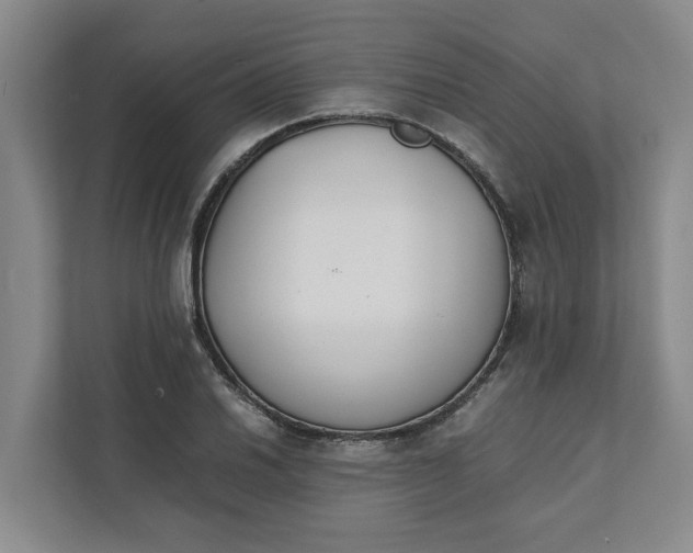 X0000111881030200908061310