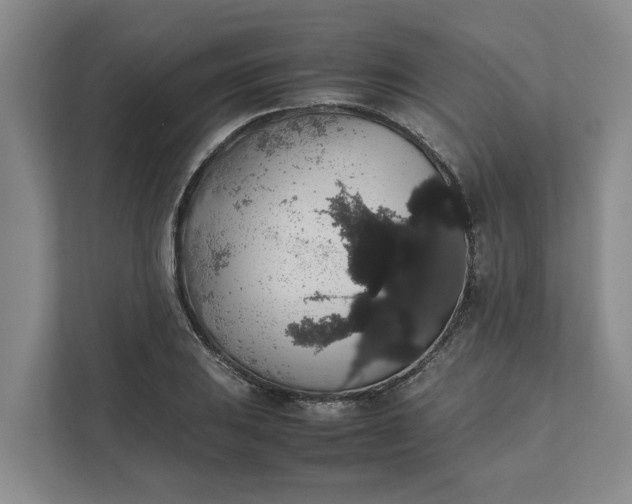 X0000111881031200908061310