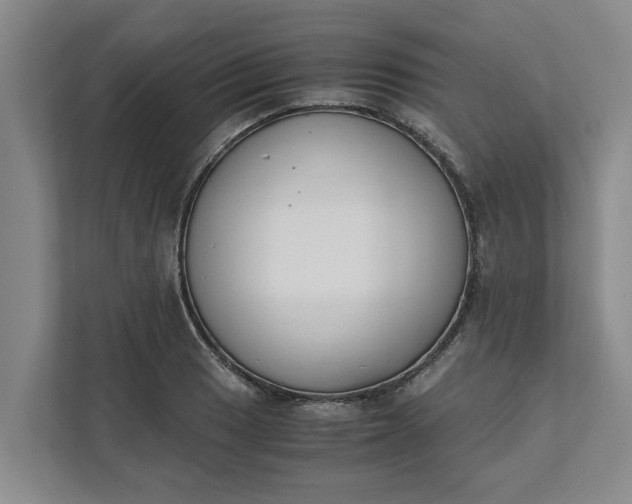 X0000111881033200908061310