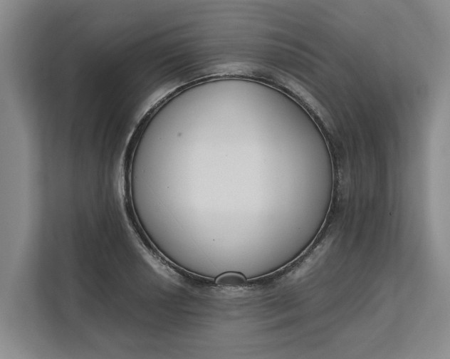 X0000111881034200908061310