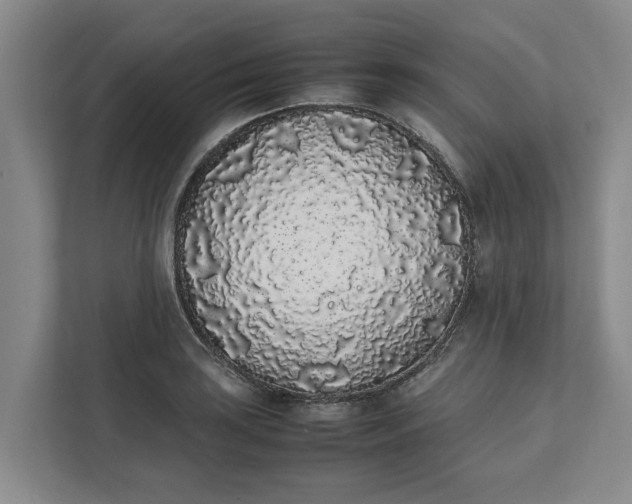 X0000111881035200908061310