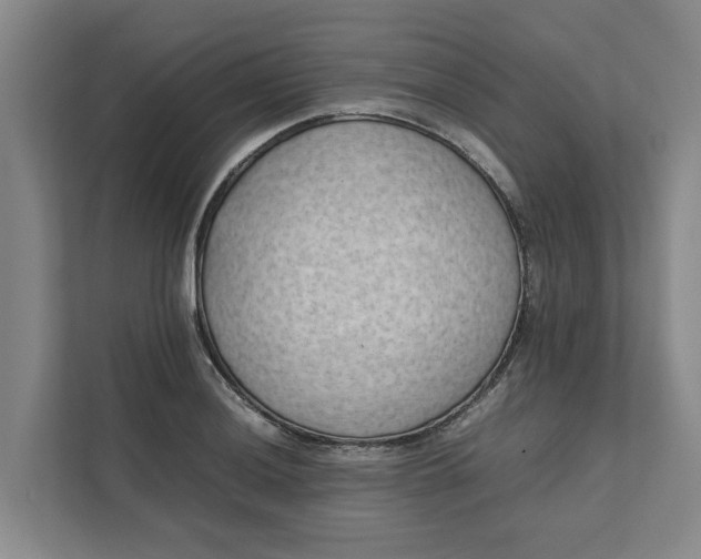 X0000111881036200908061310