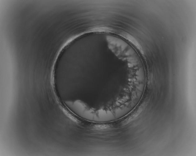 X0000111881037200908061310