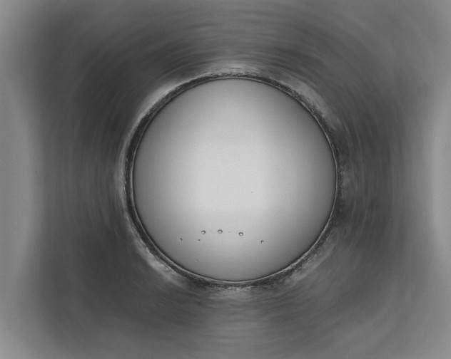 X0000111881038200908061310