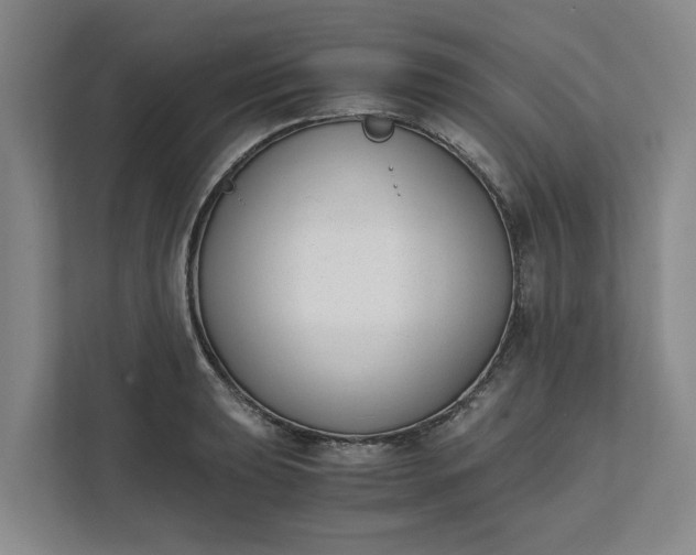 X0000111881039200908061310