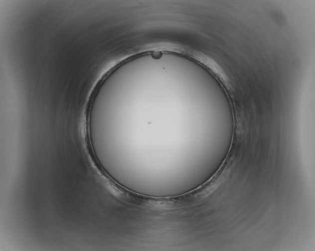 X0000111881040200908061310