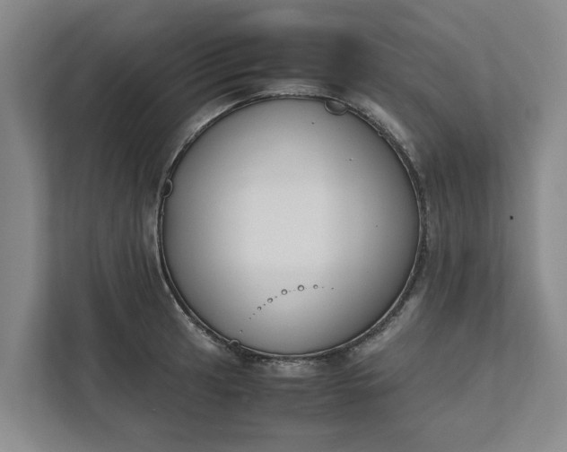 X0000111881041200908061310