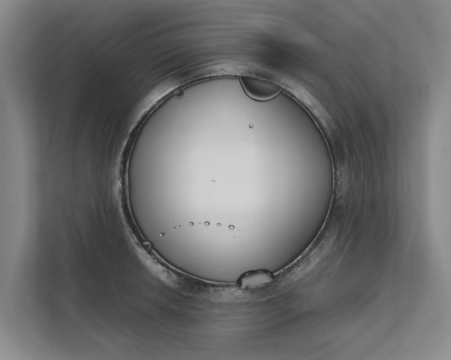 X0000111881042200908061310