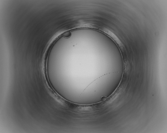 X0000111881043200908061310