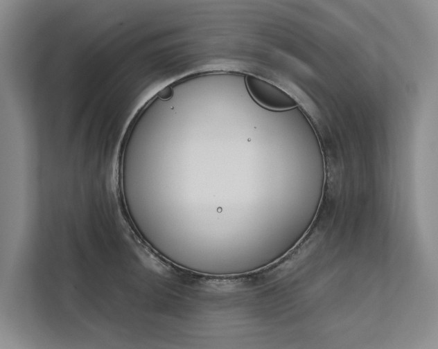 X0000111881044200908061310