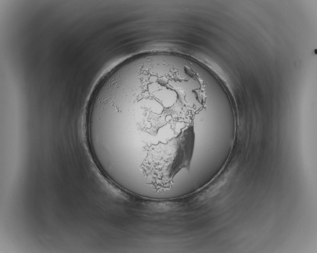 X0000111881045200908061310