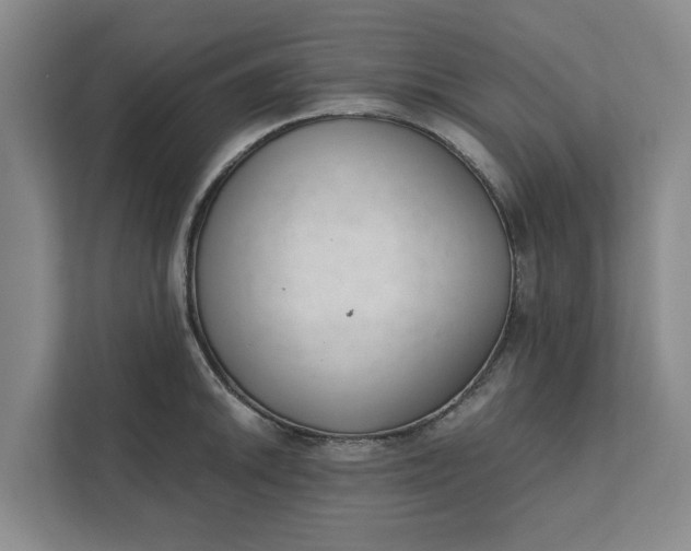 X0000111881046200908061310