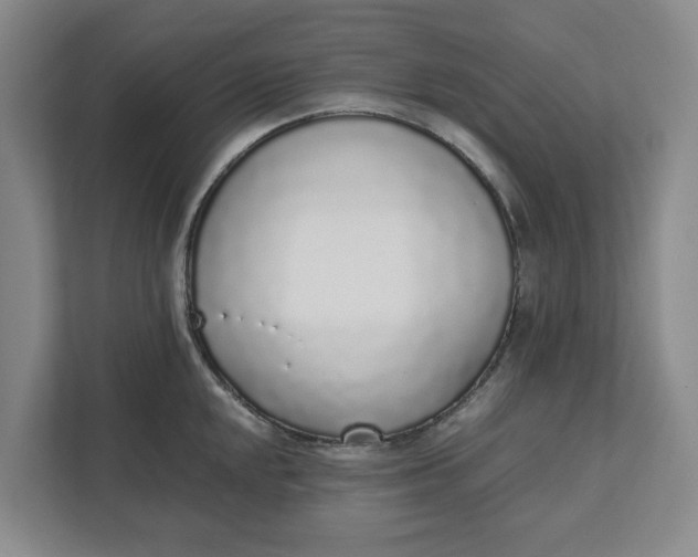 X0000111881048200908061310