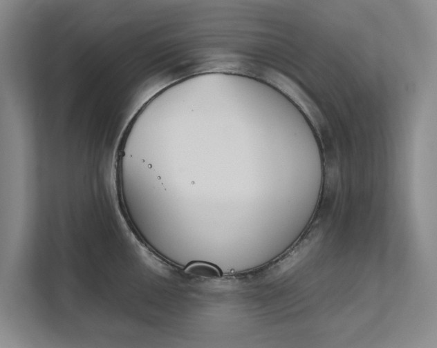 X0000111881050200908061310