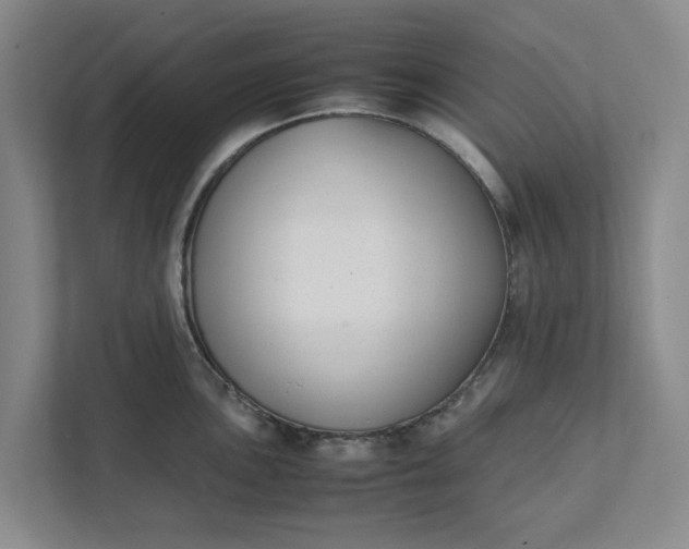 X0000111881051200908061310