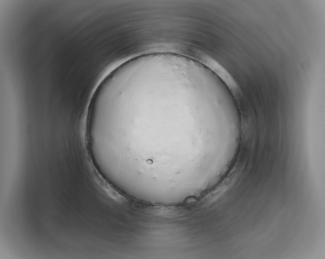 X0000111881052200908061310