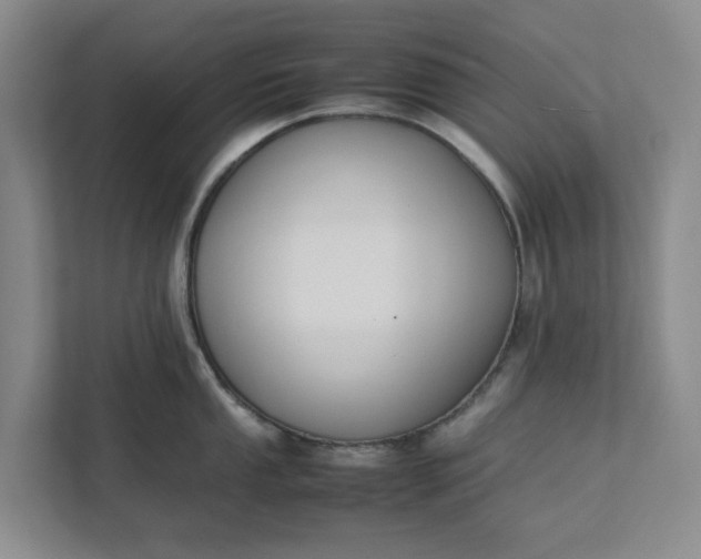 X0000111881053200908061310