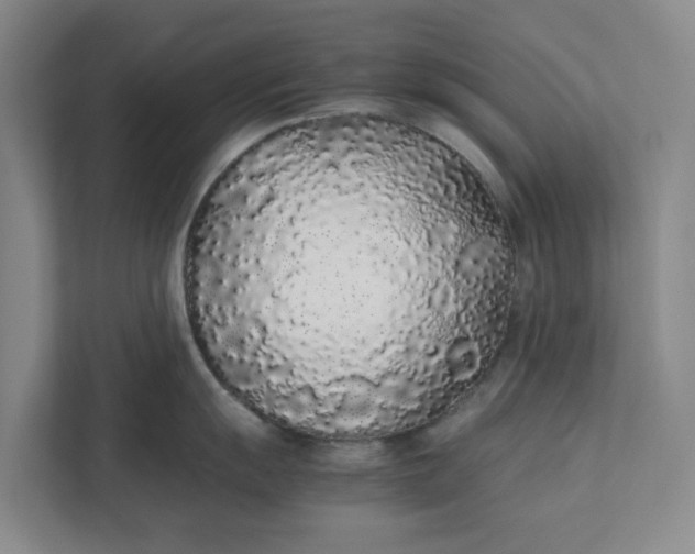 X0000111881055200908061310