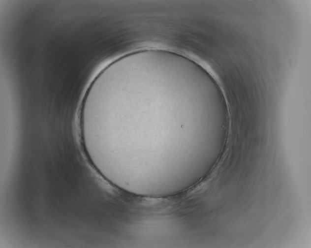 X0000111881056200908061310