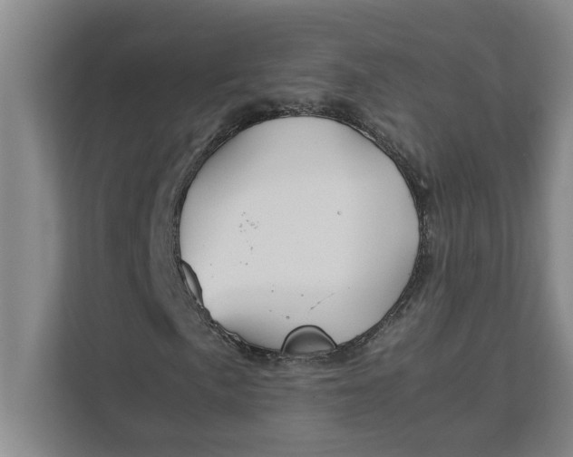 X0000111881057200908061309