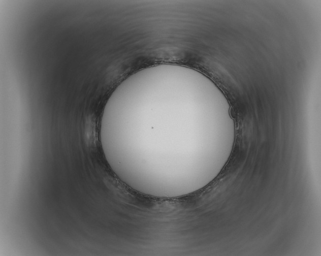 X0000111881058200908061309