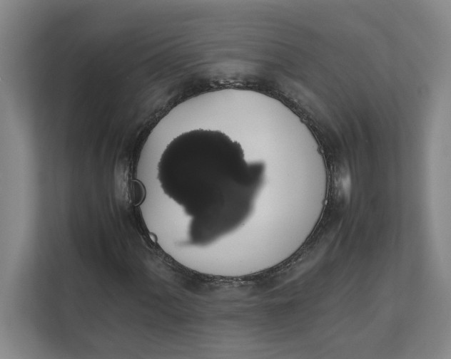 X0000111881060200908061309