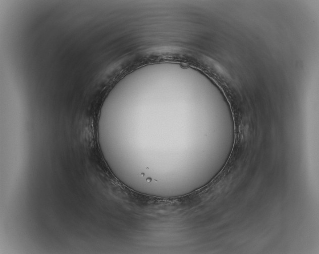 X0000111881062200908061309