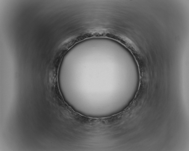 X0000111881063200908061309