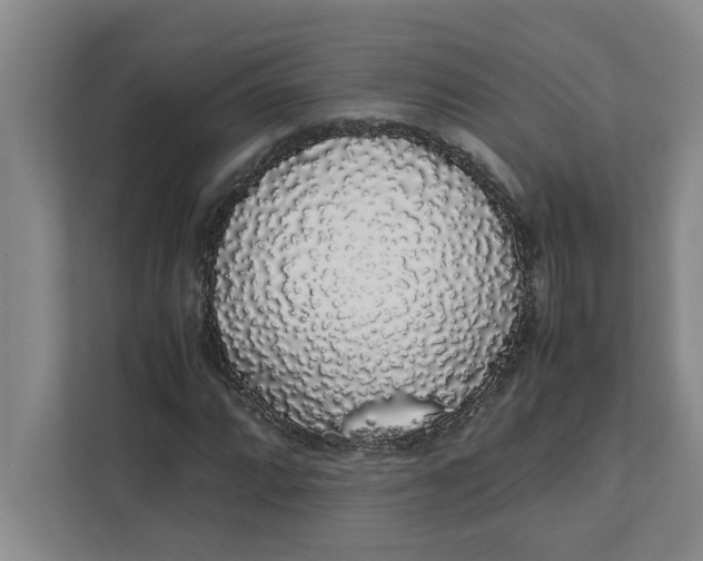 X0000111881064200908061309