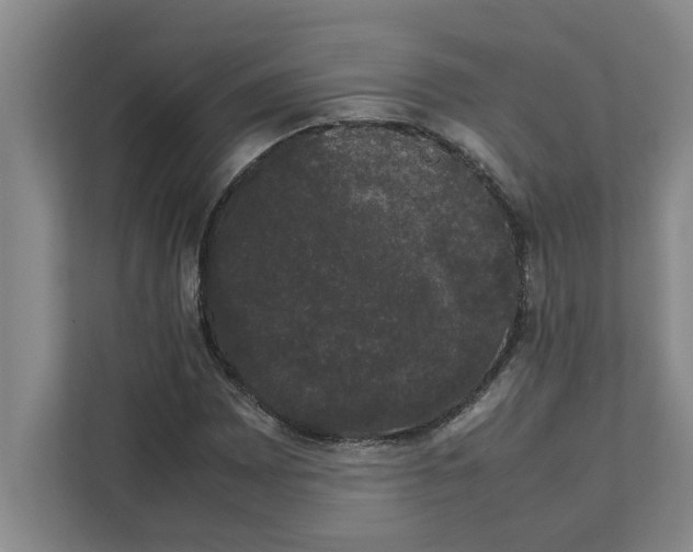 X0000111881065200908061309