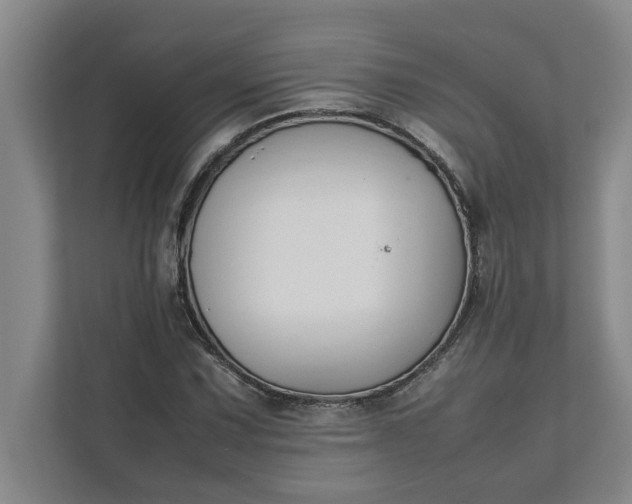 X0000111881067200908061309