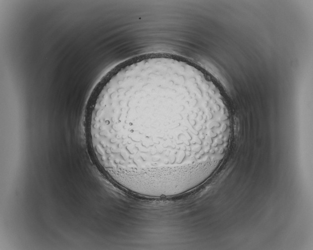 X0000111881068200908061309