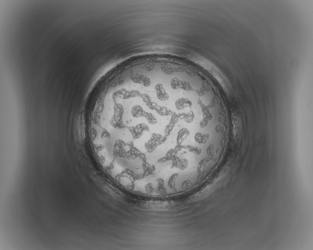 X0000111881069200908061309