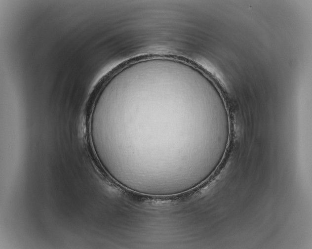 X0000111881070200908061309