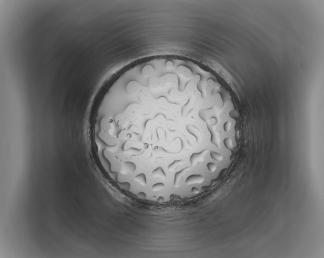 X0000111881072200908061309