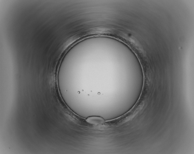 X0000111881073200908061309