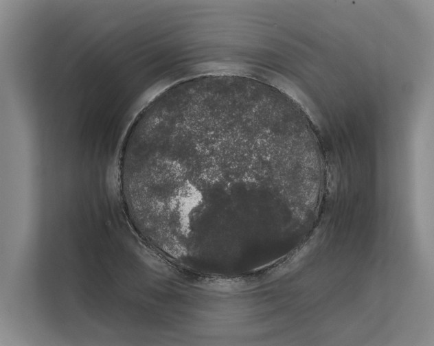 X0000111881074200908061309