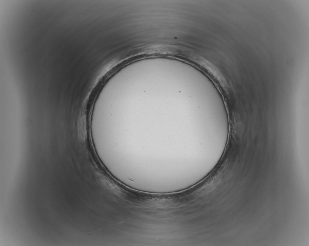 X0000111881075200908061309