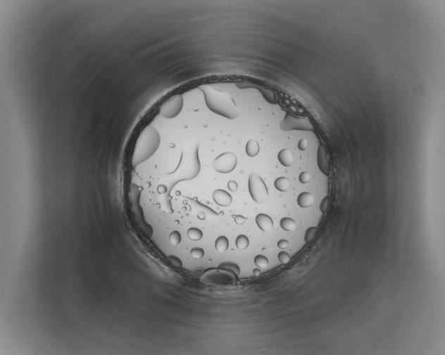 X0000111881076200908061309