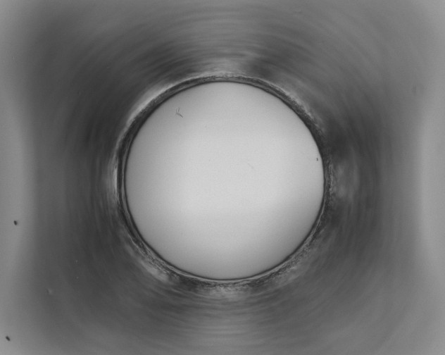 X0000111881078200908061309