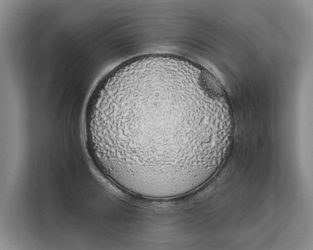 X0000111881080200908061309