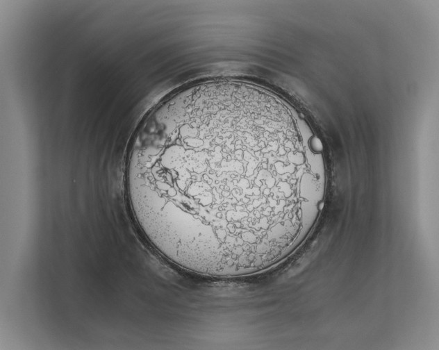 X0000111881081200908061309