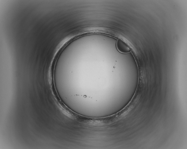 X0000111881082200908061309