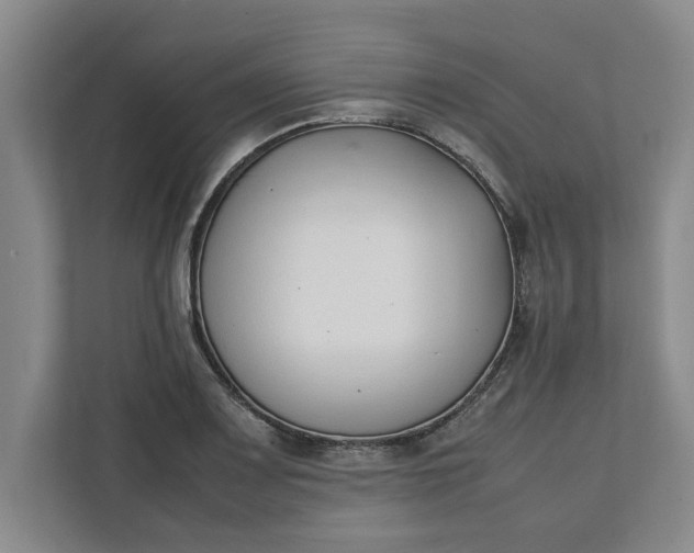 X0000111881083200908061309