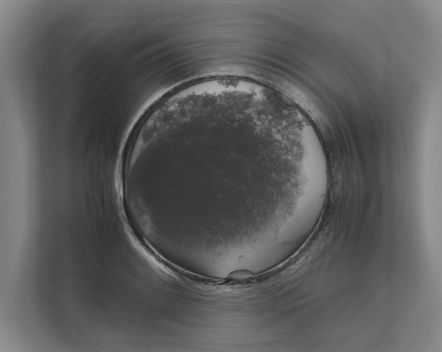 X0000111881084200908061309