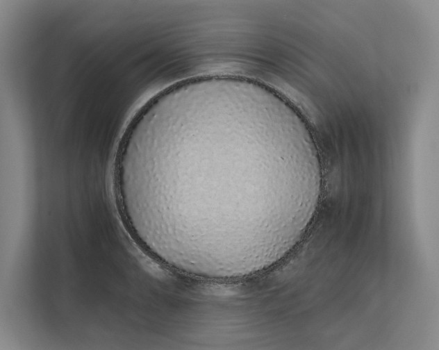 X0000111881086200908061309