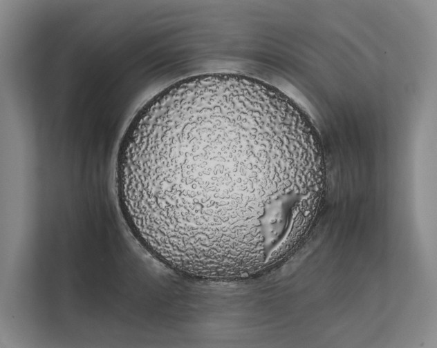 X0000111881088200908061309