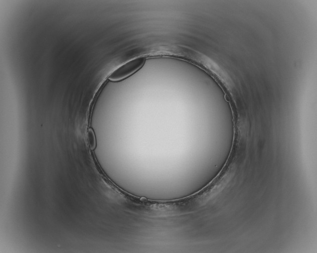 X0000111881089200908061309