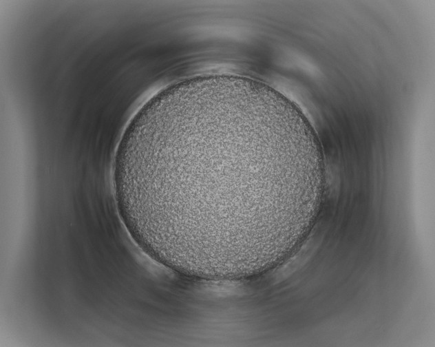 X0000111881090200908061309